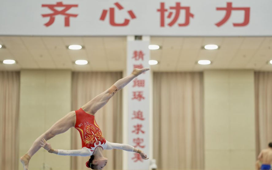 leyu乐鱼体育官方最新动态分析